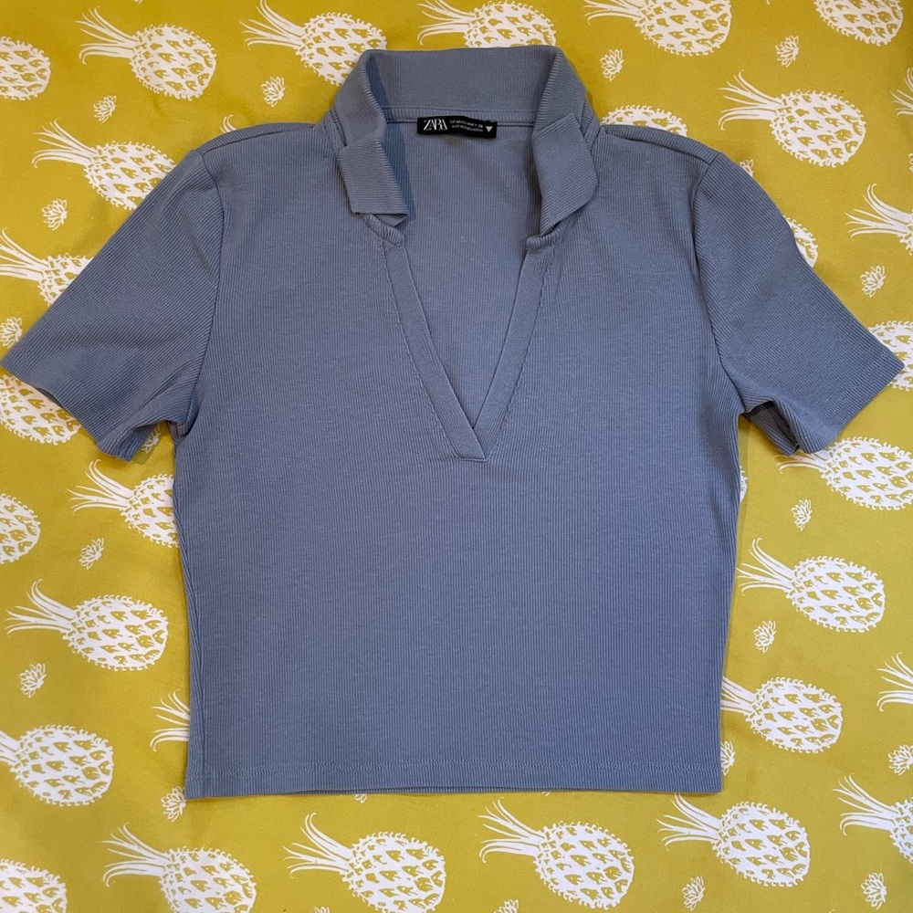 Zara Stretchy Collared Crop Top